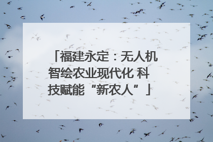 福建永定：无人机智绘农业现代化 科技赋能“新农人”